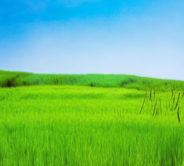 粤辉农业产品，助力农业振兴