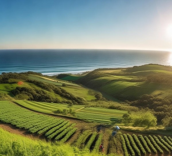 南澳生态农业，绿满海岸的未来